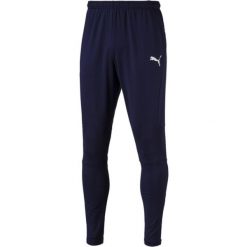 Spodnie Puma Liga Pants Pro, Mężczyźni. Czarne spodnie sportowe męskie Puma, l, bez wzorów, z dresówki, do piłki nożnej. Za 89.00 zł.