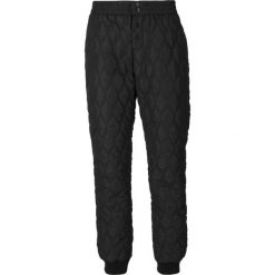 Damskie spodnie wodoodporne Whistler Nelly. Czarne spodnie sportowe damskie Whistler, bez wzorów, trekkingowe. Za 244.50 zł.