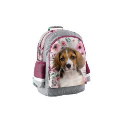 Lekki plecak szkolny z pieskiem beagle, Paso. Torby i plecaki dziecięce marki PASO. Za 97.90 zł.