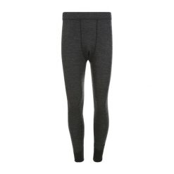 Legginsy Whistler Bradley. Szare legginsy sportowe męskie Whistler, m, bez wzorów, narciarskie. Za 233.50 zł.