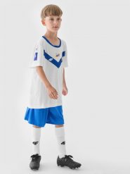 4F Koszulka klubowa wyjazdowa z sezonu 2024/25 chłopięca 4F x Stal Mielec - multikolor 134/140 (8-10 lat). T-shirty dla chłopców 4f, bez wzorów, z dzianiny, bez ramiączek. Za 199.99 zł.