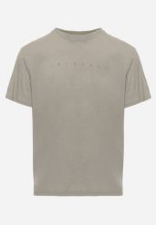 Ciemnobeżowa Koszulka T-shirt z Bawełny Ozdobiona Napisem Palidia. Brązowe t-shirty męskie Born2be, l, bez wzorów, z bawełny, bez kołnierzyka. Za 39.99 zł.