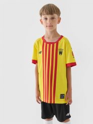 4F Koszulka klubowa domowa z sezonu 2024/25 chłopięca 4F x Korona Kielce - multikolor 134/140 (8-10 lat). Czerwone t-shirty dla chłopców 4f, bez wzorów, z dzianiny, bez ramiączek. Za 199.99 zł.