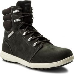Trapery HELLY HANSEN - A.S.T 2 111-59.991 Jet Black/Birch/Charcoal. Czarne śniegowce i trapery męskie marki Helly Hansen, z gumy. W wyprzedaży za 379.00 zł.