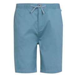 Shorty Męskie Chino Aldan. Fioletowe krótkie spodenki sportowe męskie Regatta, m, bez wzorów, trekkingowe. Za 77.99 zł.
