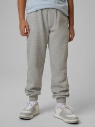 Spodnie dresowe joggery chłopięce 4F 4FJRMM00TTROM1823. Szare spodnie sportowe dla chłopców 4f, bez wzorów, z bawełny, sportowe, długie, trekkingowe. Za 79.99 zł.