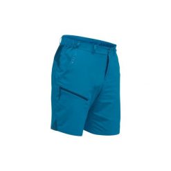 Spodenki turystyczne MH100 męskie. Szorty męskie marki QUECHUA. W wyprzedaży za 14.99 zł.