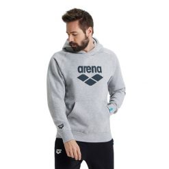 Bluza Arena Hooded Sweat Logo z kapturem. Szare bluzy męskie Arena, m, bez wzorów, z bawełny, z kapturem. Za 319.99 zł.