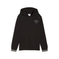 Młodzieżowa bluza z kapturem PUMA Class z grafiką PUMA. Szara bluzy męskie Puma, na wiosnę, m, bez wzorów, z bawełny, z kapturem. Za 174.00 zł.