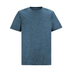 T-shirt Męski Melanżowy Fingal Edition. Zielone t-shirty męskie Regatta, l, bez wzorów, z jersey, klasyczne, bez kołnierzyka. Za 98.99 zł.