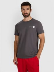 4F T-shirt regular z nadrukiem męski - szary L. Szare koszulki sportowe męskie 4f, l, bez wzorów, z bawełny, klasyczne, bez kołnierzyka. Za 49.99 zł.