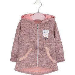 Różowa Bluza Discrepancy. Czerwone bluzy dla dziewczynek marki Born2be, na jesień. Za 49.99 zł.