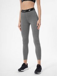 4F Legginsy 4FSS23TFTIF077 Szary Slim Fit. Szare legginsy damskie 4f, s, bez wzorów, z syntetyku. Za 99.99 zł.