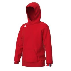 Bluza z kapturem Arena Team Panel. Czerwone bluzy męskie Arena, xl, bez wzorów, z bawełny, z kapturem. Za 335.35 zł.