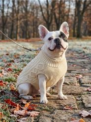 Sweter dla zwierząt z warkoczowym splotem - beżowy. Brązowe swetry przez głowę męskie Sinsay, bez wzorów, ze splotem, bez kołnierzyka. Za 15.99 zł.