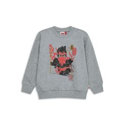 Bluza Bawełniana Chłopięca LEGO Ninjago Sian205 Szara. Szare bluzy dla chłopców LEGO, bez wzorów, z bawełny, bez ramiączek, bez kaptura. W wyprzedaży za 103.99 zł.