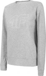 4f Bluza damska H4L22-BLD350 Chłodny jasny szary melanż r. XL. Szare bluzy damskie 4f, l, bez wzorów, bez kaptura. Za 79.51 zł.