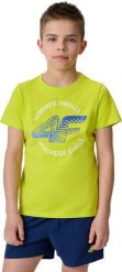4f Koszulka dla chłopca 4F M3284 soczysta zieleń 4FJWSS26TTSHM3284 45S 152cm. Zielone t-shirty dla chłopców 4f, bez wzorów, bez ramiączek. Za 53.89 zł.