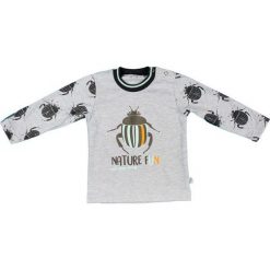 Mmdadak Koszulka Chłopięca Chrabąszcz 86 Szary. T-shirty dla chłopców Mmdadak. Za 33.00 zł.