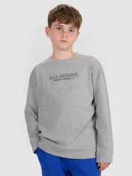 4F Longlseeve regular z nadrukiem chłopięcy - szary 152 (11-12 lat). Szare t-shirty dla chłopców 4f, bez wzorów, z bawełny, bez ramiączek. Za 59.99 zł.