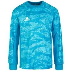 Koszulka bramkarska Adidas Jr Adipro 19 Gk Blue. Niebieskie swetry dla chłopców Givova, na zimę, bez wzorów, z poliesteru, bez kołnierzyka, bez kaptura. Za 178.99 zł.