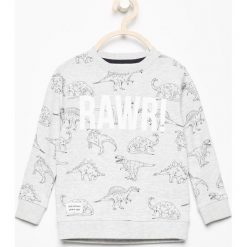 Bluza z nadrukiem dinozaurów - Beżowy. Bluzy dla chłopców marki Reserved. W wyprzedaży za 29.99 zł.