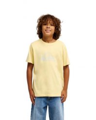 Koszulka z krótkim rękawem dla Chłopcy EV COMP LOGO Żółty. Żółte t-shirty dla chłopców Quiksilver, bez wzorów, z bawełny, bez ramiączek. Za 74.99 zł.