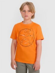 4F T-shirt regular z nadrukiem chłopięcy - pomarańczowy 134 (8-9 lat). Brązowe t-shirty dla chłopców 4f, bez wzorów, z bawełny, bez ramiączek. W wyprzedaży za 29.99 zł.