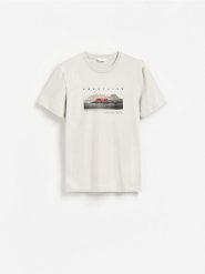 T-shirt regular z bawełny - jasnoszary. Szare t-shirty męskie Reserved, l, bez wzorów, z bawełny, bez kołnierzyka. Za 69.99 zł.
