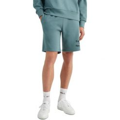 Spodenki męskie O'Neill Future Surf. Brązowe szorty męskie O'Neill, m, bez wzorów. Za 249.00 zł.