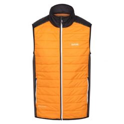 Męska Ocieplana Kamizelka Halton VII. Zielone kurtki męskie Regatta, l, bez wzorów, casualowe, bez kaptura. Za 110.99 zł.