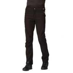 Spodnie turystyczne męskie Geo Softshell II. Czarne spodnie sportowe męskie Regatta, na lato, m, bez wzorów, z softshellu, trekkingowe. W wyprzedaży za 249.99 zł.