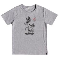 DC Koszulka Chłopięca 168 Szara. T-shirty dla chłopców DC. Za 109.00 zł.