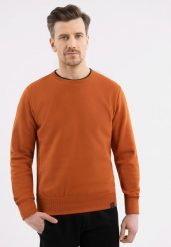 Gładka bluza B-TERON. Brązowe bluzy męskie Volcano, m, bez wzorów, z bawełny, bez kaptura. Za 149.99 zł.
