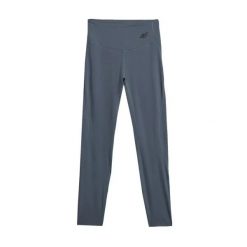 Damskie legginsy 4F FNK F404. Fioletowe legginsy damskie 4f, xl, bez wzorów, z elastanu, z podwyższonym stanem, długie, na fitness i siłownię. Za 143.50 zł.