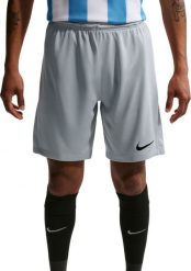 Nike Spodenki męskie Nike Dry Park III NB K jasnoszare BV6855 012 L. Szare krótkie spodenki sportowe męskie Nike, l, bez wzorów. Za 80.02 zł.