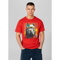 Koszulka męska Pitbull Fuji. Brązowe buty sportowe męskie PITBULL, m, bez wzorów, bez kołnierzyka, bez ramiączek, trekkingowe. Za 89.00 zł.