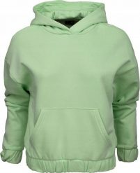 4f Bluza damska 4F jasna zieleń 4FSS23TSWSF255 42S L. Zielone bluzy damskie 4f, l, bez wzorów, bez kaptura. Za 153.29 zł.