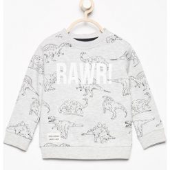 Bluza z nadrukiem dinozaurów - Beżowy. Bluzy dla chłopców Reserved, z nadrukiem. W wyprzedaży za 29.99 zł.