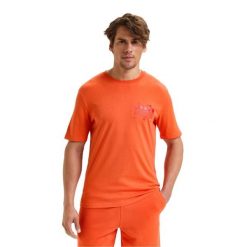 Koszulka DIADORA T-SHIRT SS MANIFESTO. Brązowe t-shirty męskie Diadora, m, bez wzorów, bez kołnierzyka. Za 59.99 zł.
