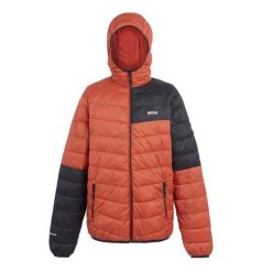 Kurtka z kapturem Regatta Hillpack III. Czarne kurtki męskie Regatta, xl, bez wzorów, z puchu, eleganckie, z kapturem. Za 108.00 zł.