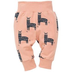 Pinokio Śpioszki Dziecięce Happy Llama 62 Różowe/Niebieskie. Czerwone śpioszki niemowlęce Pinokio, z jeansu, bez ramiączek. Za 35.00 zł.