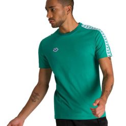 Koszulka męska Arena T-Shirt Team Icons. Zielone t-shirty męskie Arena, m, bez wzorów, eleganckie, bez kołnierzyka. Za 119.00 zł.
