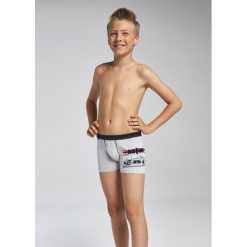 Bokserki chłopięce Young 700/68 Aston szare r. 140. Szare bielizna dla chłopców Cornette. Za 27.32 zł.