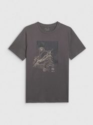 4F T-shirt regular z nadrukiem męski - szary L. Szare t-shirty męskie 4f, l, bez wzorów, z bawełny, bez kołnierzyka. Za 69.99 zł.