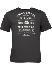 T-shirt męski O'Neill Muir T-shirt z krótkim rękawem. Szare t-shirty męskie O'Neill, m, bez wzorów, z bawełny, wakacyjne, bez kołnierzyka. Za 99.00 zł.