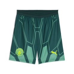 Spodenki bramkarskie 26/27 Manchester City Mężczyzna PUMA. Zielone szorty męskie Puma, m, bez wzorów, z materiału, klasyczne. Za 199.00 zł.
