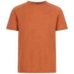 T-shirt DLX Conall. Brązowe t-shirty męskie DLX, l, bez wzorów, z elastanu, bez kołnierzyka. Za 216.45 zł.