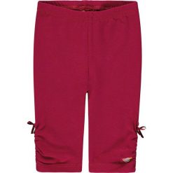 Legginsy w kolorze jagodowym. Czerwone legginsy dla dziewczynek marki Steiff. W wyprzedaży za 49.95 zł.