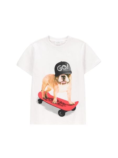 Coccodrillo T-Shirt WC5143207VBC Biały Regular Fit. Białe t-shirty dla chłopców COCCODRILLO, bez wzorów, z bawełny, bez ramiączek. Za 39.99 zł.